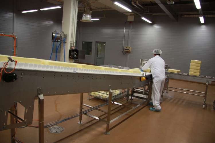 Более 200 тонн сыра поставил на экспорт подмосковный завод компании «Valio» в 2020 году