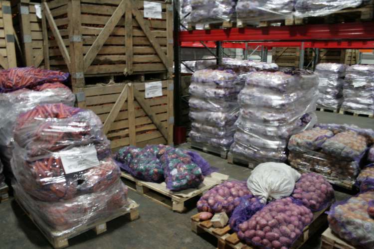 Воскресенский: цены на картофель на прилавках Московской области могут быть снижены