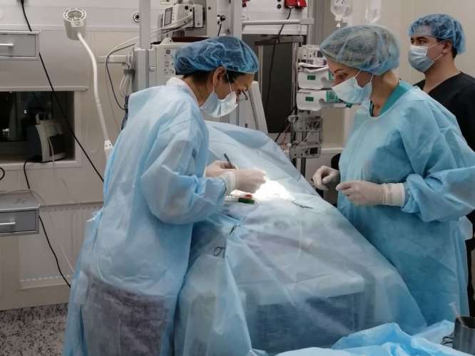 Отделение хирургии для новорождённых открылось в Щёлковском перинатальном центре