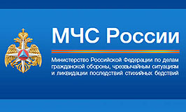 Отдел надзорной деятельности и профилактической работы по городскому округу Красногорск сообщает