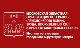 Совет ветеранов провел пленум по итогам года