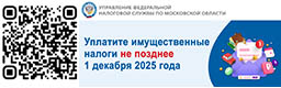 Уплатите налоги не позднее 1 декабря 2025 года