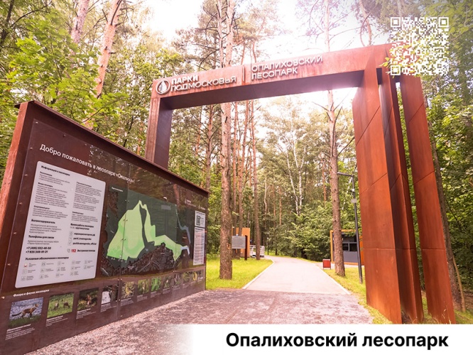 Опалиховский лесопарк