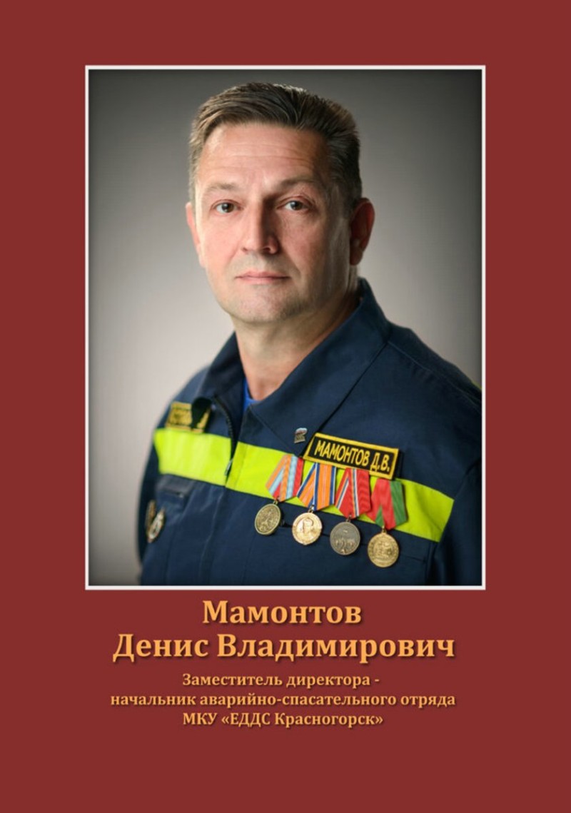 Мамонтов Денис Владимирович