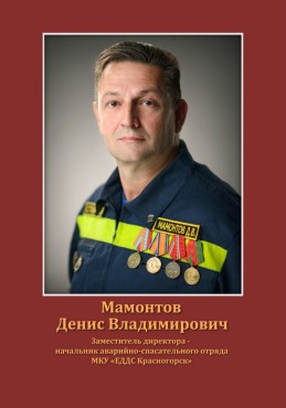 Мамонтов Денис Владимирович