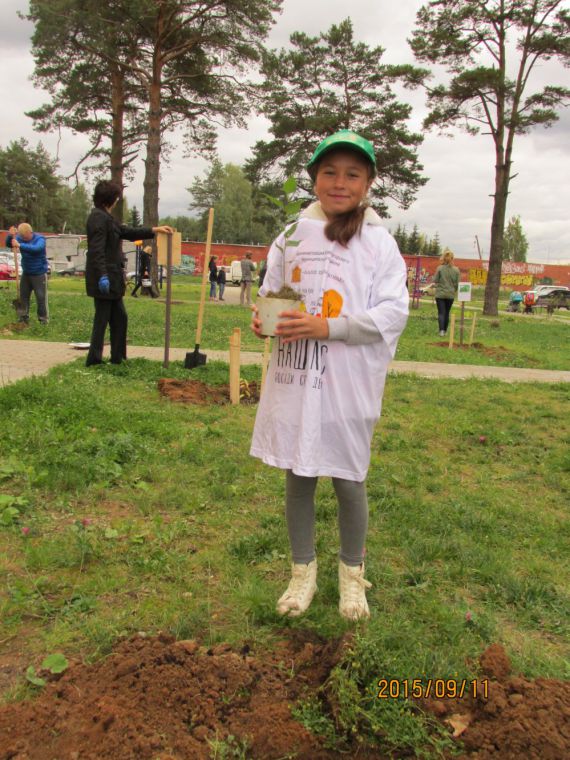 Красногорцы приняли массовое участие в областной акции «Наш лес. Посади свое дерево»