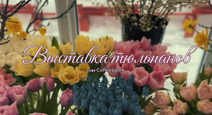 Красочная выставка тюльпанов в Городском парке Красногорска