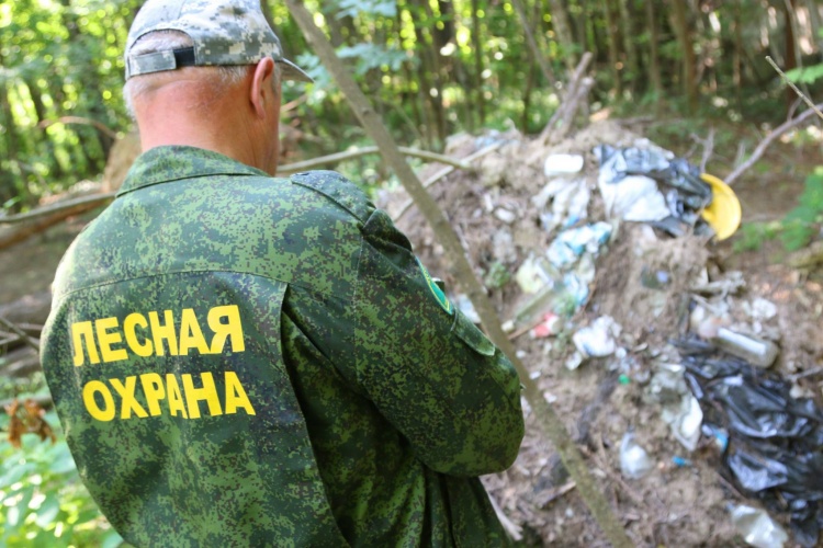 В красногорском лесопарке прошел экологический рейд