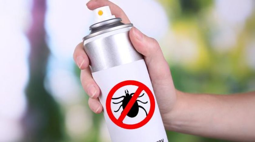 Средства от клещей – какими они бывают?