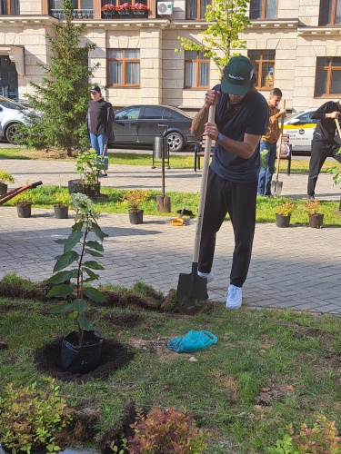 Акция  «Наш лес. Посади свое дерево» прошла в Красногорске