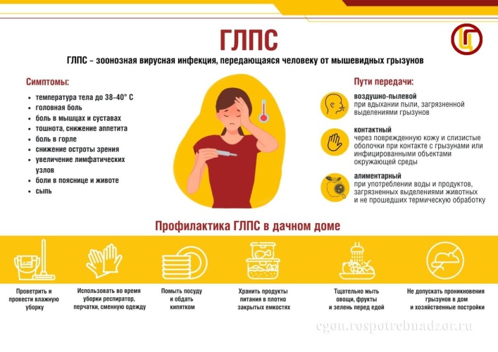 О профилактике геморрагической лихорадки с почечным синдромом (ГЛПС)