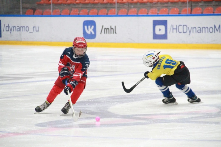 Всероссийский день хоккея отметили в Красногорске