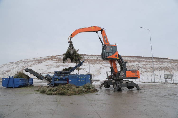 Рекордные 120 тонн древесины - «РТ-Инвест» подвел итоги переработки новогодних ёлок