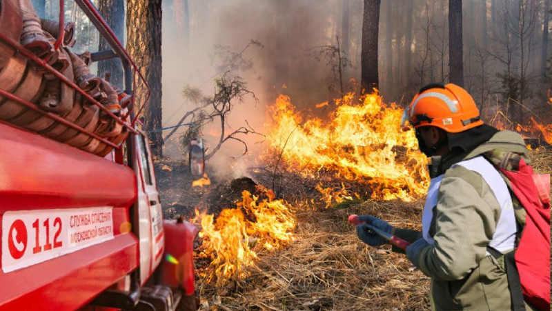 Комлесхоз усиливает меры пожарной безопасности в лесах Подмосковья с 11 по 21 августа
