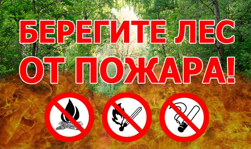 Ограничение пребывания граждан в лесах и въезда в них транспортных средств введено в Московской области