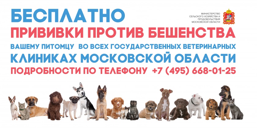 Зарегистрированных случаев бешенства животных в Московской области стало на 50% меньше