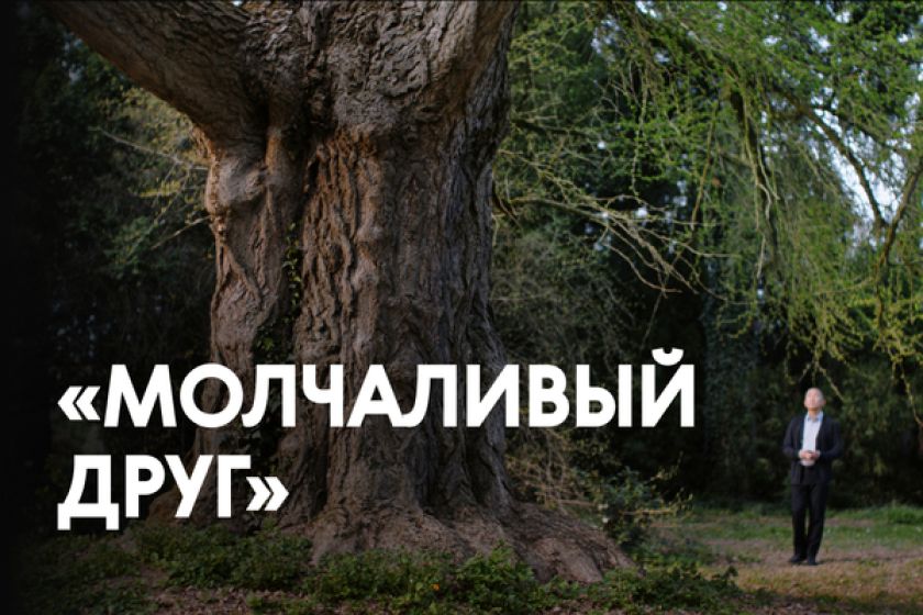 В Музее-заповеднике «Архангельское» можно будет увидеть новинки кино