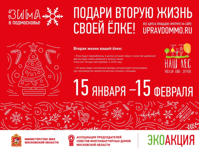 Пункты приема новогодних елок откроются в Красногорске 15 января