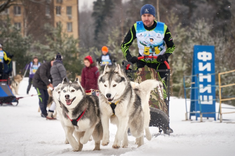 Праздник зимних видов спорта в Красногорске собрал более 200 человек