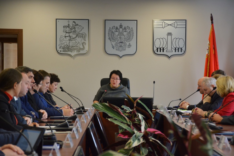 Глава городского округа Красногорск выступила с ежегодным отчетом перед Советом депутатов