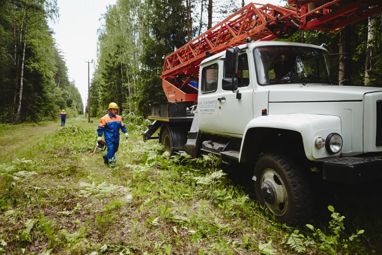 В Подмосковье расчищено более 120 га просек линий электропередачи