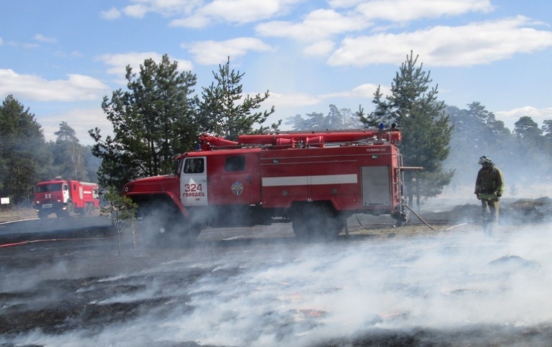В Московской области принимают меры для повышения защищенности населенных пунктов от природных пожаров
