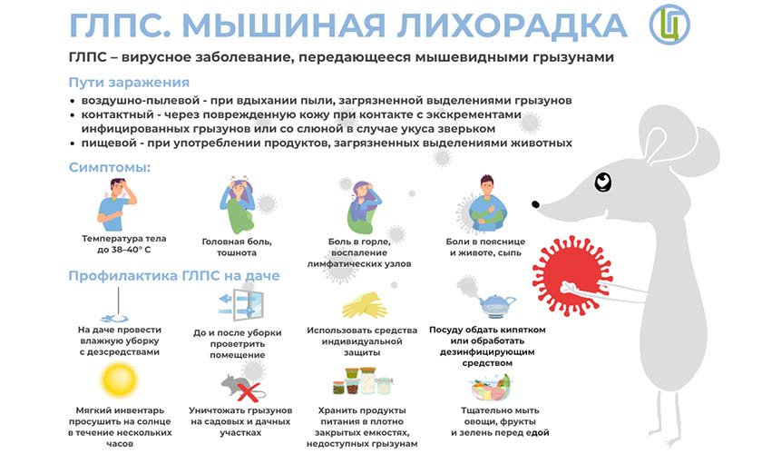 ГЛПС. МЫШИНАЯ ЛИХОРАДКА