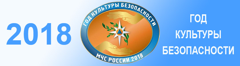 2018 год объявлен в МЧС России годом культуры безопасности