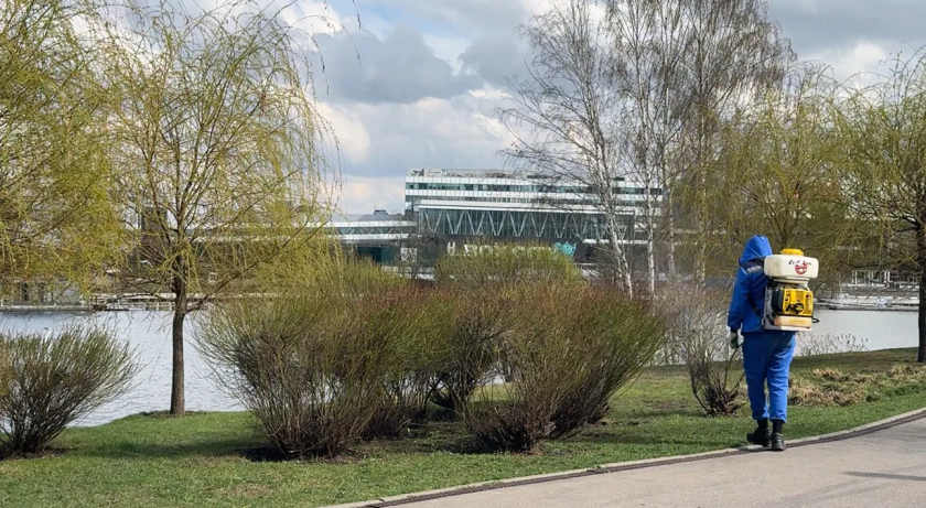 В Красногорске начались работы по акарицидной обработке парковых и зелёных зон. Сегодня работы были проведены на набережной в Павшинской пойме