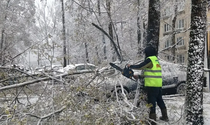 Уважаемые красногорцы!