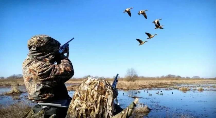 Уважаемые красногорцы!