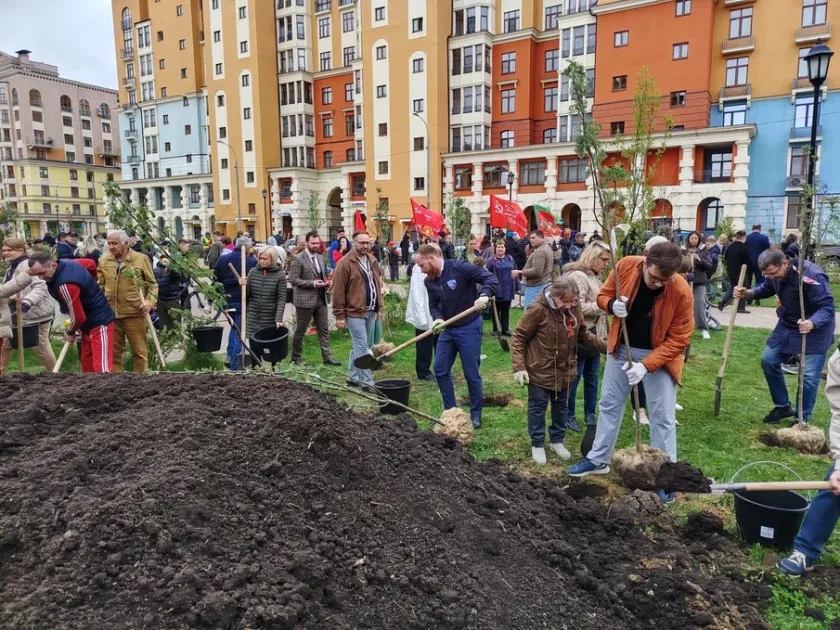 В Красногорске высадили Рябиновую аллею памяти в честь участников СВО