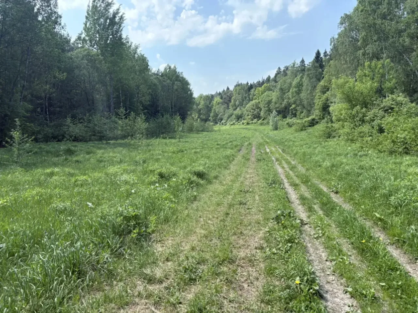 В Красногорске провели рейд по защите особо охраняемой природной территории