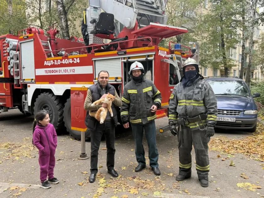 Друг в беде не бросит или Спасательная операция «Мяу»