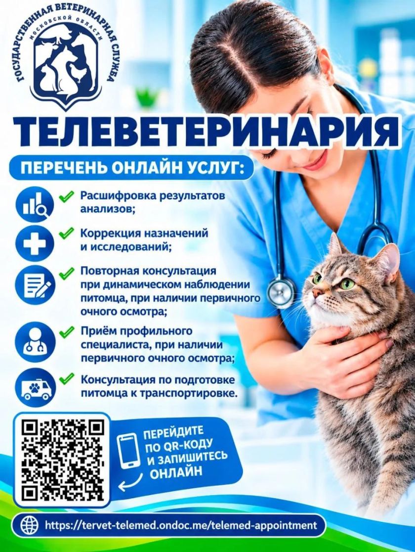 В Московской области заработал новый сервис телеветеринарии