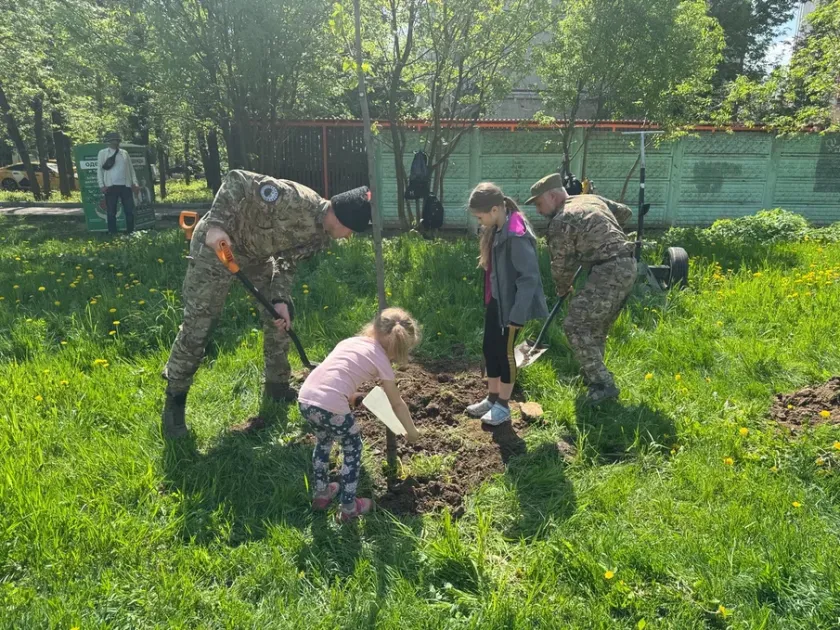 На улице Вокзальной в Красногорске появились десятки новых лип