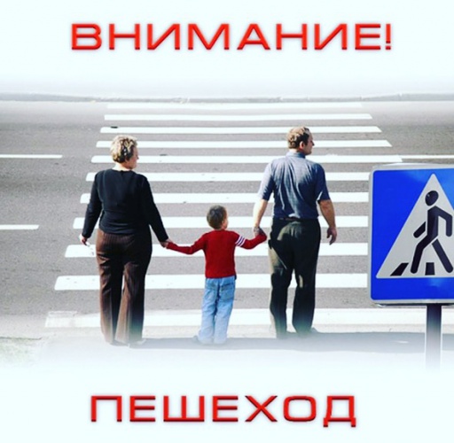Операция «Пешеход» проходит в Красногорске