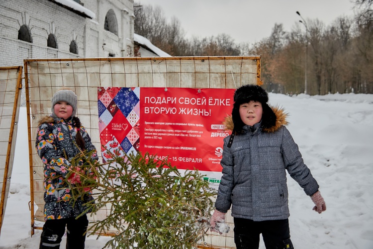 В Красногорске подвели итоги экоакции «Подари своей елке вторую жизнь»