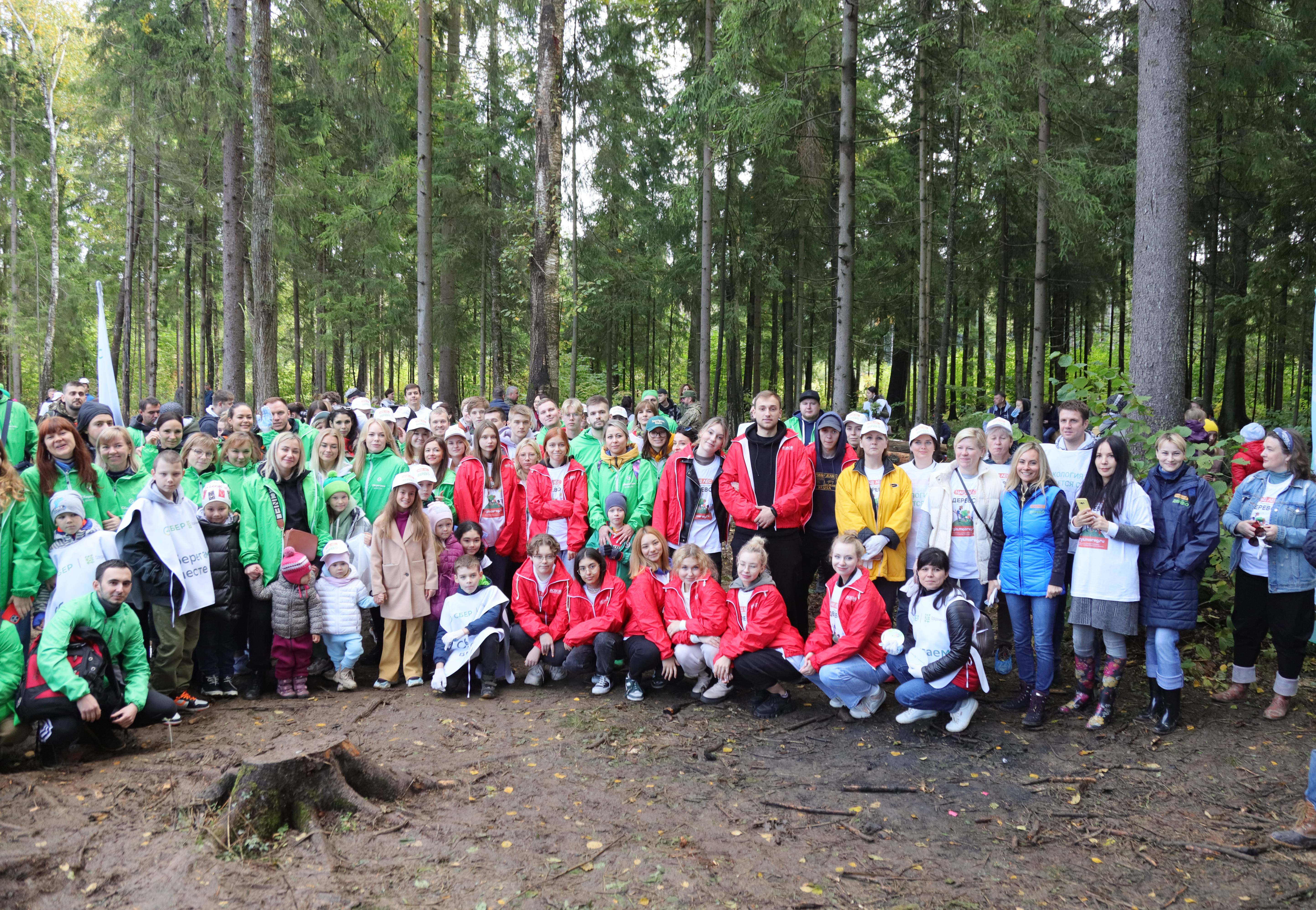 Более 200 жителей Красногорска приняли участие в акции «Наш лес. Посади своё дерево»