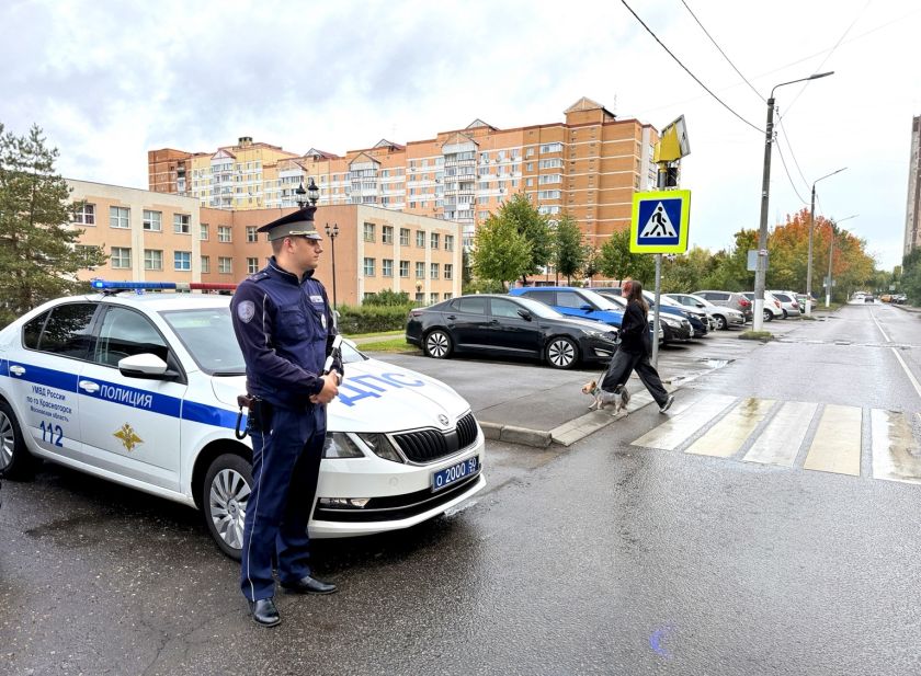 В период проведения выборов сотрудники ГИБДД Подмосковья перешли на усиленный режим несения службы
