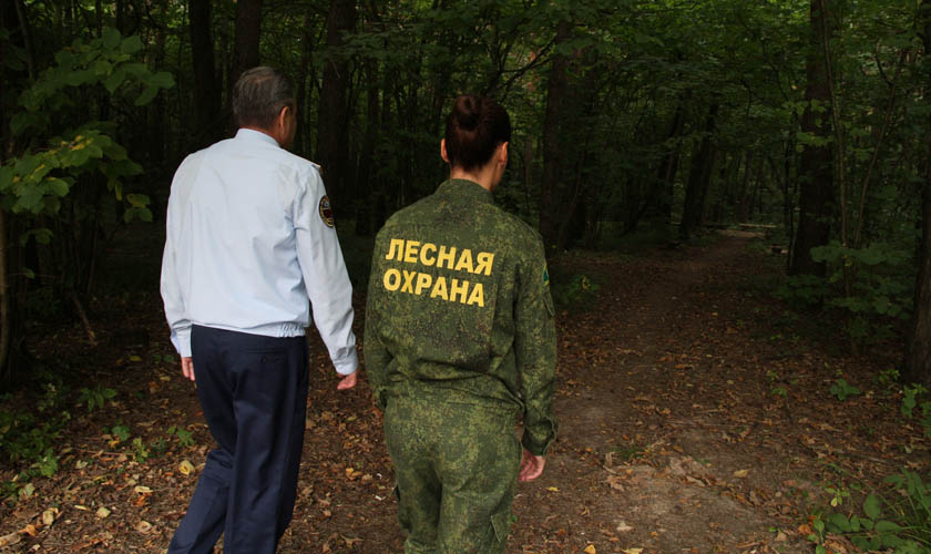 Взаимодействие Системы-112 Московской области и Комитета лесного хозяйства сократило время реагирования на происшествия в лесах