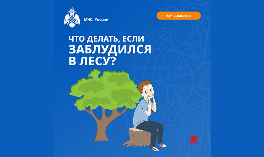 Что делать, если заблудился в лесу?