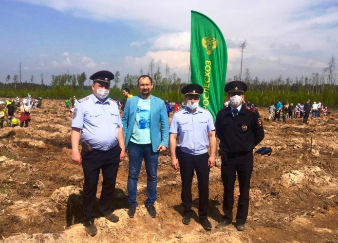 В Красногорске сотрудники полиции и общественник присоединились к акции «Лес Победы»