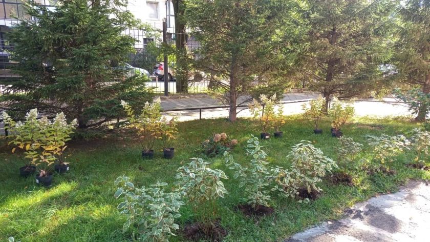 Продолжается прием заявок на конкурс «Лучший двор — 2026»!