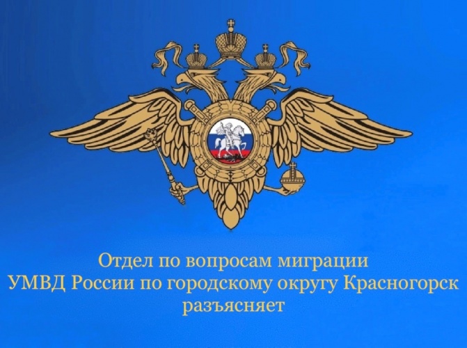 Государственные услуги МВД в электронном виде