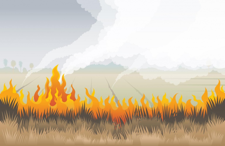 Пал сухой травы: природный пожар проще предотвратить, чем потушить