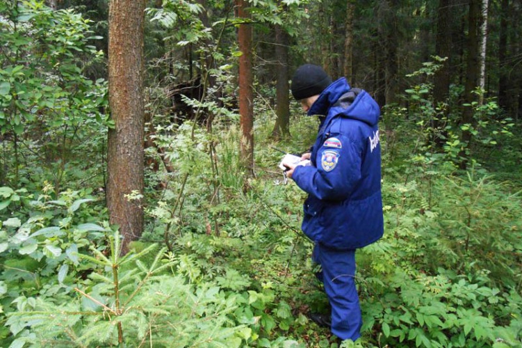 Система-112 Московской области помогает в поиске заблудившихся в лесу