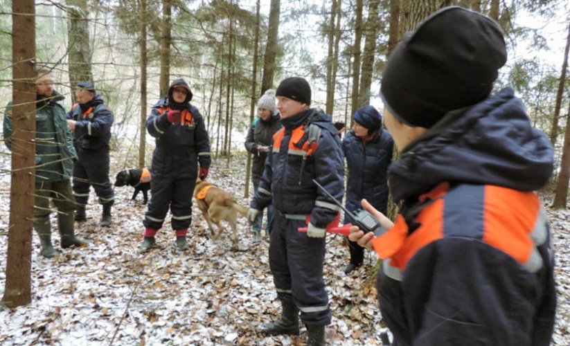 Более 480 человек вывели из леса спасатели Московской области с начала 2018 года