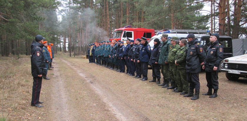 26 заблудившихся в лесу спасли в Московской области с начала 2019 года