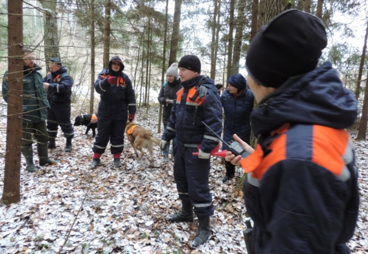 С начала 2017 года в лесах Московской области спасено почти 900 человек